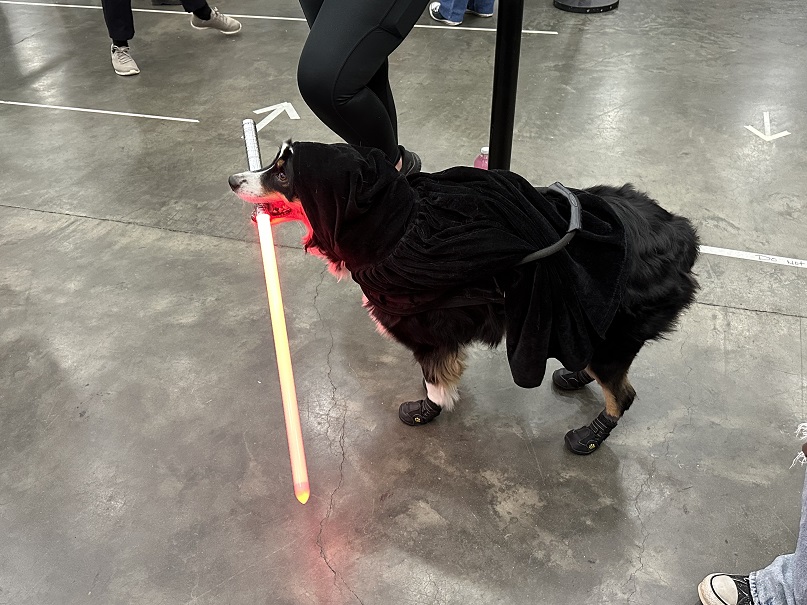 Baltimore Comic-Con 22