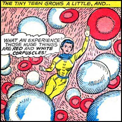 Shrinking Violet in an early appearance