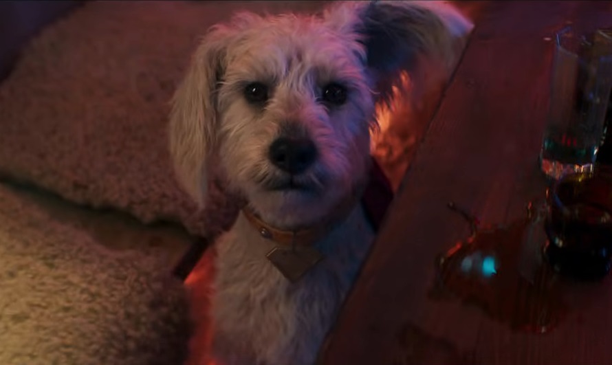 Supergirl trailer Krypto