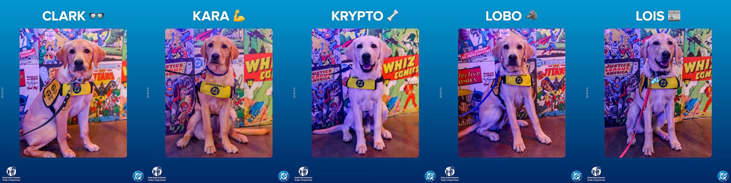 DC at SDCC DC’s sponsored future service dogs
