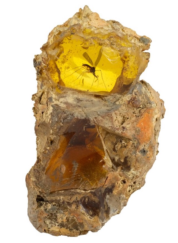 Propstore – mosquito in amber fossil from Jurassic Park