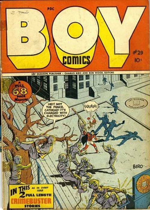 Boy Comics #29